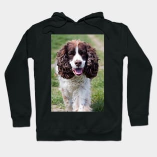 english springer spaniel walking Hoodie